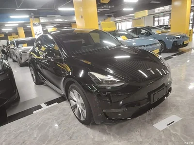 2021 Tesla Model Y Standard Range Rear-Wheel Drive, фото 4, лот 10370214