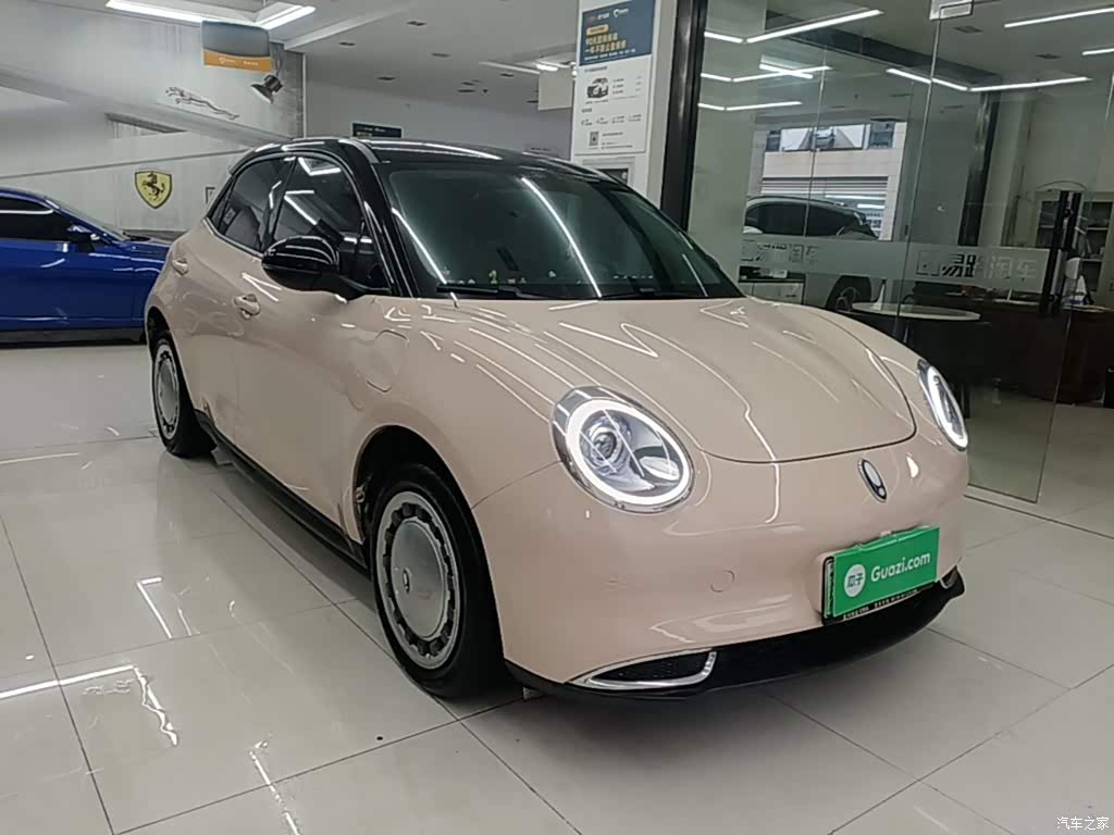 2021 Ora Good Cat 400km Standard Range Muse Edition (LFP), фото 4, лот 11215208