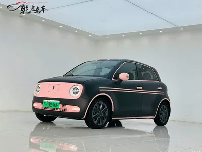 2021 Ora Black Cat 405km Long Range Model, фото 1, лот 10331552