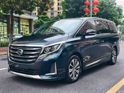 2020 GAC Trumpchi Trumpchi M8 Pilot 390T Prestige Edition, фото 1, лот 10414771