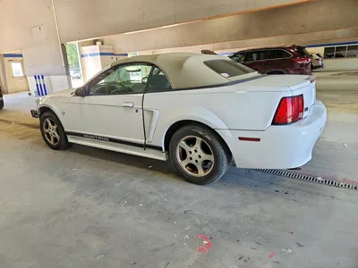 2002 FORD MUSTANG, фото 2, лот 10979981