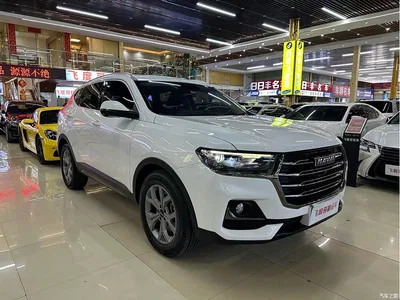 2021 Haval H6 Model National Trend Edition 1.5T Auto Champion, фото 3, лот 10300122
