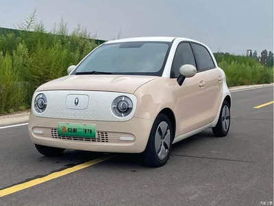 2021 Ora Black Cat 301km Basic Model, фото 1, лот 11139586