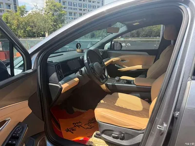2025 BYD Song L DM-i Smart Drive Edition 112km Surpassing, фото 4, лот 10274084