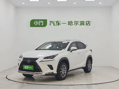 2020 Lexus NX 300h FWD F Sport China VI, фото 1, лот 10398683