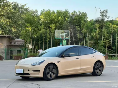 2022 Tesla Model 3 Model Rear-Wheel Drive Version, фото 1, лот 10352865