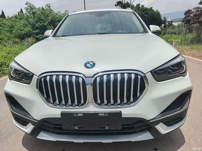 2020 BMW X1 sDrive20Li Premium Edition, фото 1, лот 10406973