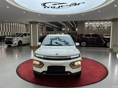 2022 Dongfeng Yipai Nano BOX Wind Chaser Edition 351KM Advanced, фото 2, лот 11558520