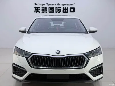 2022 Škoda Octavia PRO TSI280 Luxury Edition, фото 2, лот 10348735