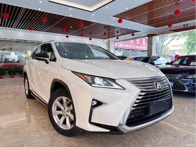 2016 Lexus RX 300 2WD Comfort Edition China V, фото 3, лот 10315093