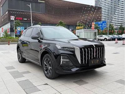 2023 Hongqi HS5 2.0T Flag Enjoy Pro Edition, фото 3, лот 10414880
