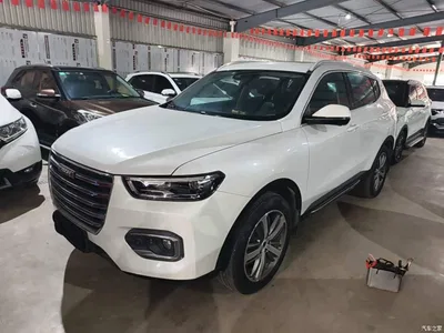 2019 Haval H6 Red Label 1.5GDIT Automatic Luxury Smart Connect Edition, фото 1, лот 10285876