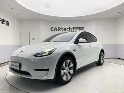2022 Tesla Model Y Facelift Rear-Wheel Drive Version, фото 1, лот 11191537