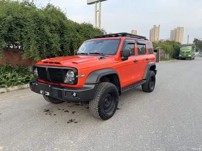 2021 Tank 300 Off-road Version 2.0T Conqueror, фото 3, лот 10345534