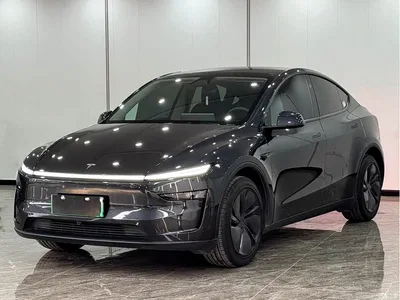 2025 Tesla Model Y Rear-Wheel Drive, фото 1, лот 11198072