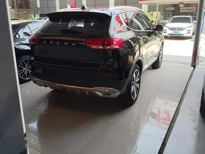 2020 Haval H6 1.5GDIT Automatic Platinum Champion Edition, фото 3, лот 10299068