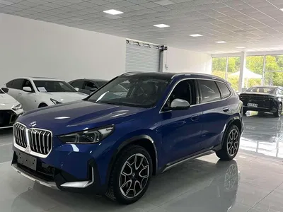 2023 BMW X1 xDrive25Li X Design Package, фото 1, лот 10465822