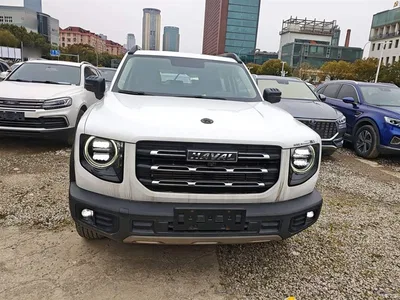 2021 Haval Big Dog 1.5T DCT 2WD Labrador Edition, фото 3, лот 10361236
