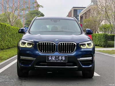 2020 BMW X3 xDrive25i Luxury Package, фото 2, лот 10460962