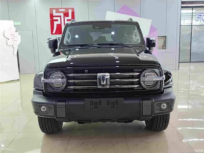 2021 Tank 300 Urban Edition 2.0T Stylish, фото 2, лот 10350787