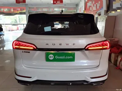 2022 Roewe RX5 MAX 1.5T Auto Promising Luxury Edition, фото 4, лот 10341018