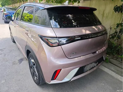2021 BYD Dolphin Model 405km Fashion Edition, фото 4, лот 11193374