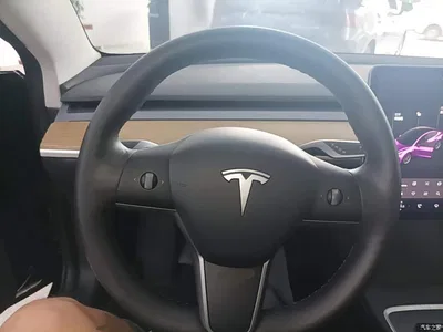 2021 Tesla Model 3 Standard Range Rear-Wheel Drive Upgrade 3D6, фото 3, лот 10886393