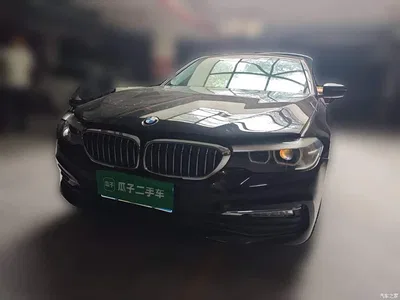 2018 BMW 5 Series 528Li Launch Special Edition, фото 1, лот 10895396