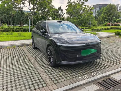 2025 ZEEKR 7X 100kWh Long Range RWD Smart Driving Edition, фото 2, лот 10331313