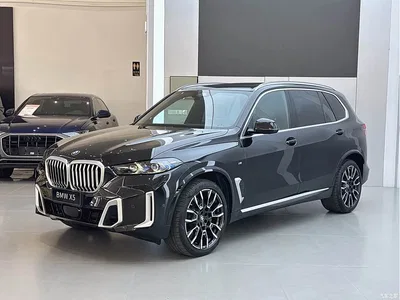 2023 BMW X5 xDrive 40Li M Sport Package, фото 1, лот 10462707