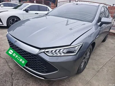 2023 BYD Qin PLUS Champion Edition DM-i 55KM Leading, фото 1, лот 11195775