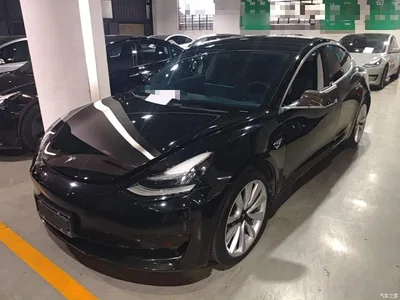 2020 Tesla Model 3 Standard Range Rear-Wheel Drive Upgrade, фото 2, лот 10463964