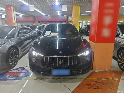 2019 Maserati Levante 3.0T Standard Edition China VI, фото 3, лот 11221520