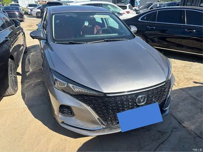 2020 Changan Eado PLUS Blue Whale NE 1.4T GDI DCT Flagship, фото 3, лот 10249977