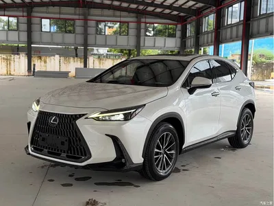 2022 Lexus NX New Energy 400h+ Joy Edition, фото 1, лот 10316064