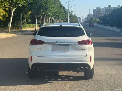 2019 WEY VV5 Upgrade 2.0T 2WD Ultra Luxury China V, фото 3, лот 10450828