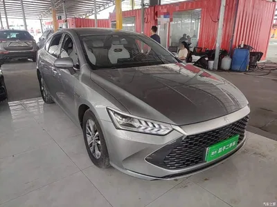 2023 BYD Qin PLUS Champion Edition DM-i 55KM Leading, фото 4, лот 11191596
