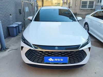 2025 BYD Qin PLUS DM-i Smart Drive 55KM Leader, фото 2, лот 11584357