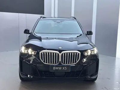 2023 BMW X5 xDrive 40Li M Sport Black Night Package, фото 2, лот 10462701