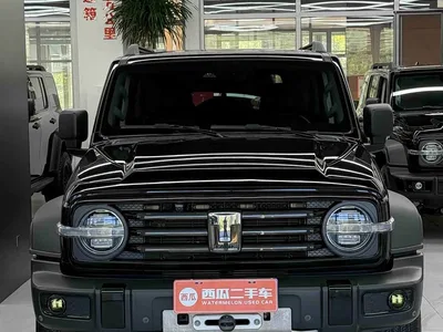 2021 Tank 300 Off-road Version 2.0T Conqueror, фото 3, лот 10407211