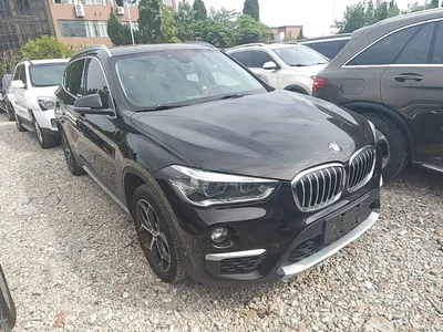 2018 BMW X1 sDrive18Li Premium Model, фото 4, лот 10899229