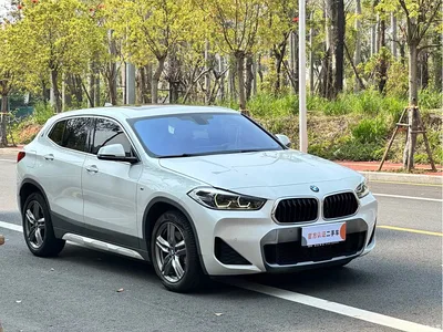 2021 BMW X2 sDrive25i Leading M Sport Package, фото 3, лот 10475598