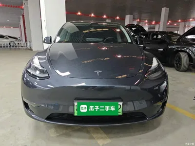2024 Tesla Model Y Long Range AWD, фото 3, лот 11011447