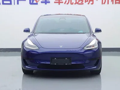 2019 Tesla Model 3 Standard Range Rear-Wheel Drive Upgrade, фото 3, лот 10346738