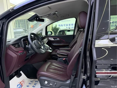 2023 Hongqi HQ9 2.0T Smart Connect Flag Smooth Edition, фото 4, лот 10889870