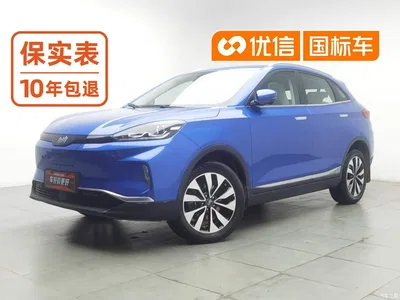 2018 Weltmeister EX5 400 Extra Innovation Edition, фото 1, лот 10613031
