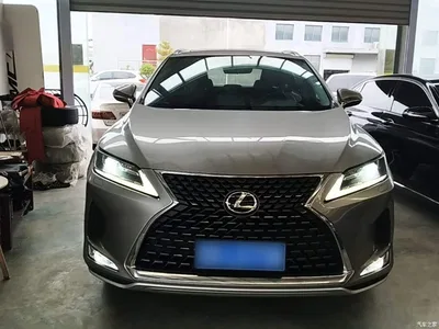2020 Lexus RX 300 2WD Elite Edition China VI, фото 3, лот 10320290