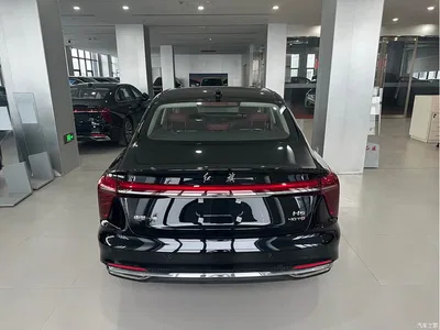 2025 Hongqi H5 2.0T Automatic Flag Celebration 500,000 Units Anniversary Edition, фото 4, лот 10288376