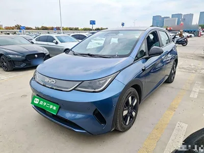 2025 BYD Dolphin Smart Drive Edition 410km Fashion Version, фото 2, лот 10671225