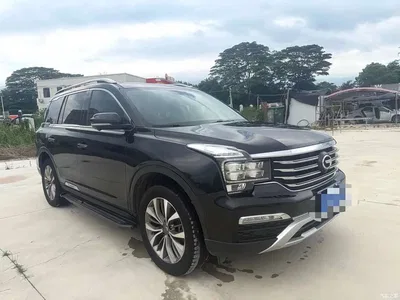 2017 GAC Trumpchi Trumpchi GS8 320T 2WD Luxury Edition (7-Seater), фото 3, лот 10415146